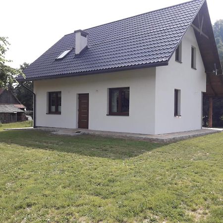Apartament Pod Lipka Lutowiska Kültér fotó